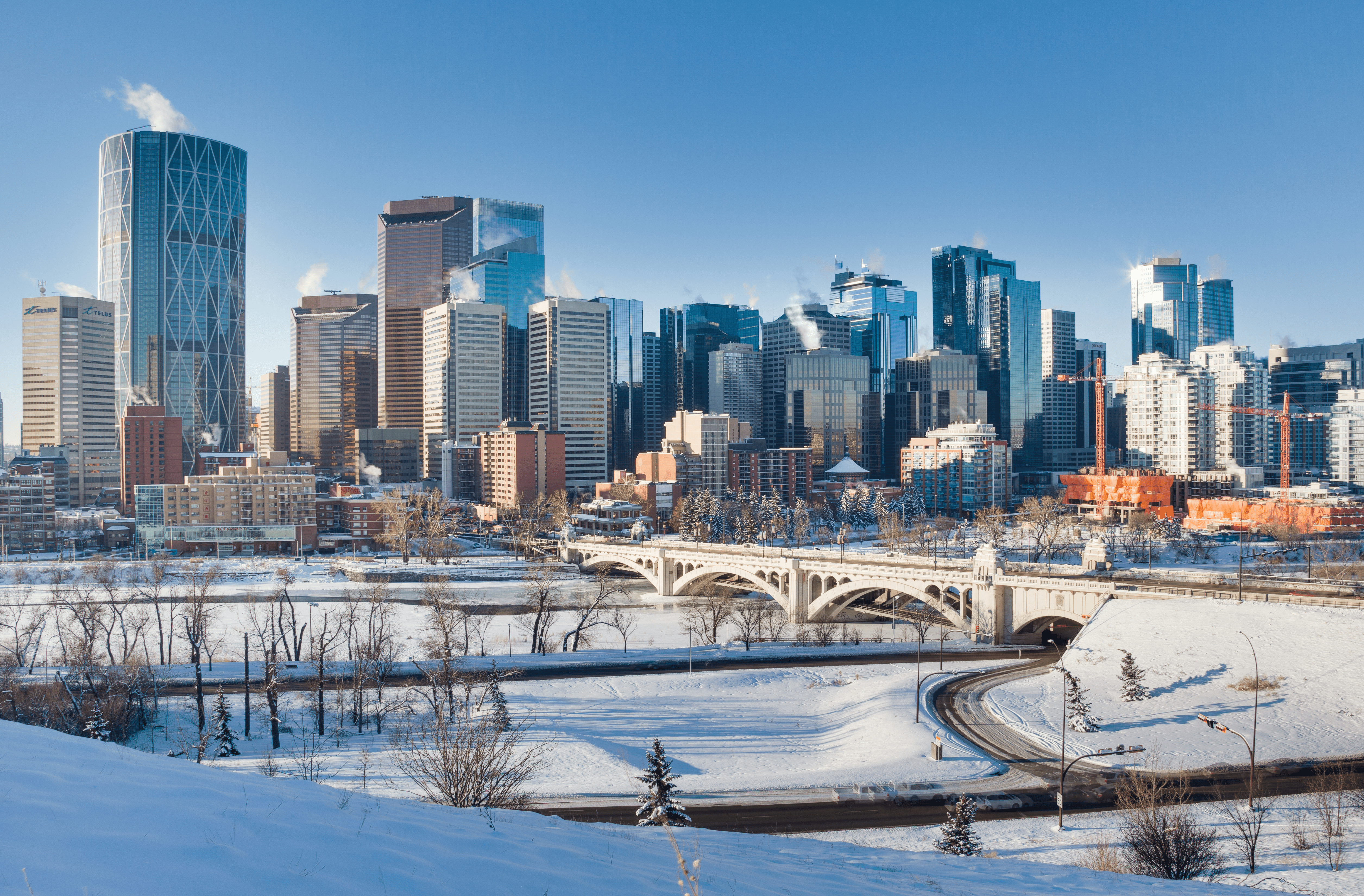 Professional moving crew from Moovez in Calgary
